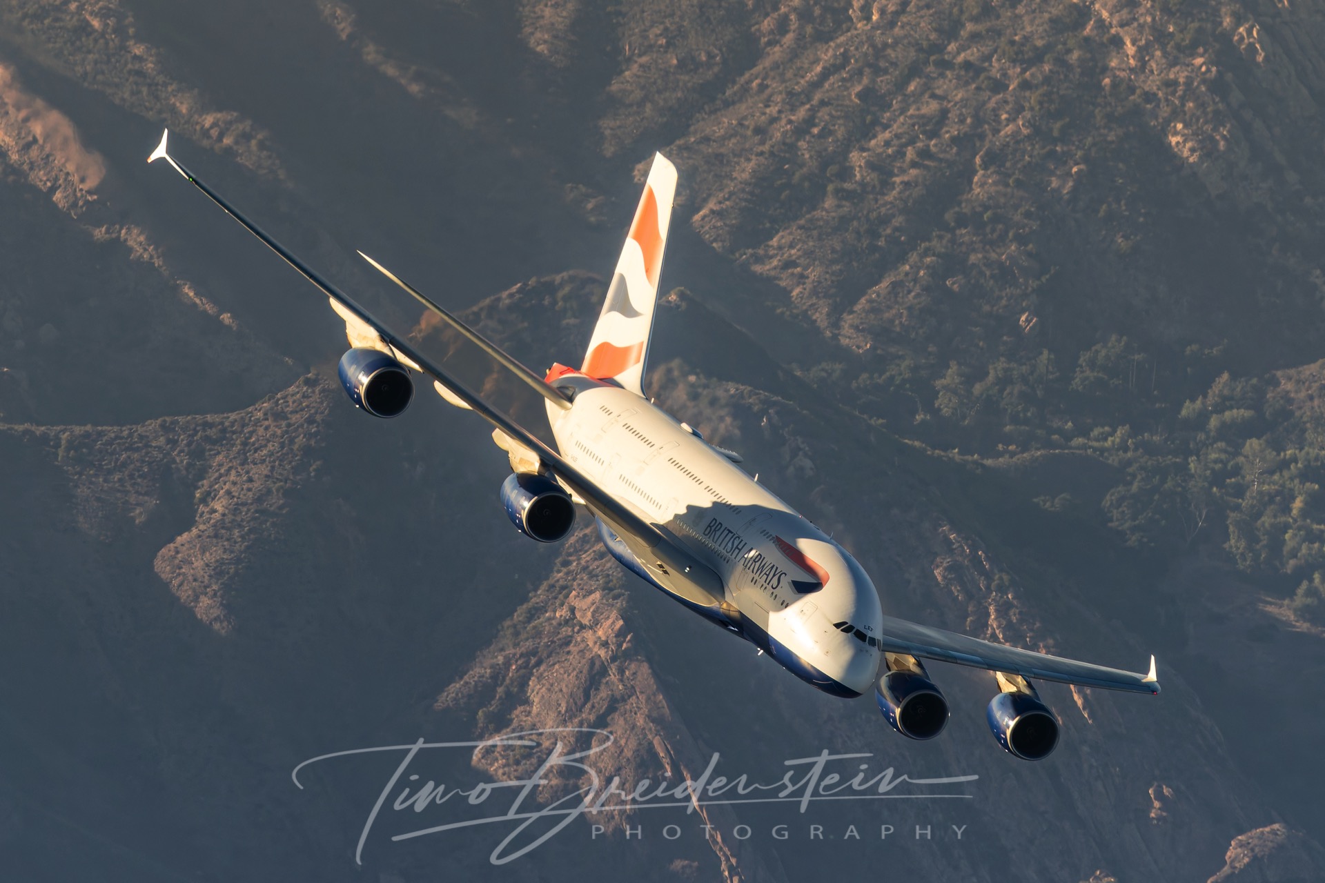 20251005 822A1785 Kopie